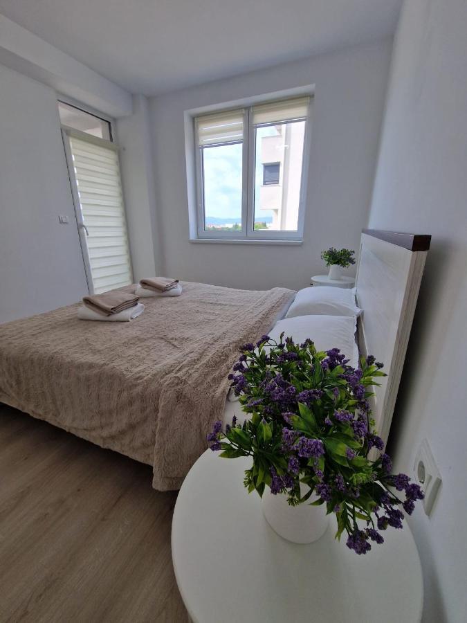 San Casa Apartment Sebeş エクステリア 写真