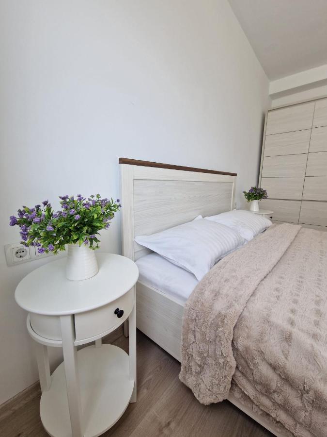 San Casa Apartment Sebeş エクステリア 写真